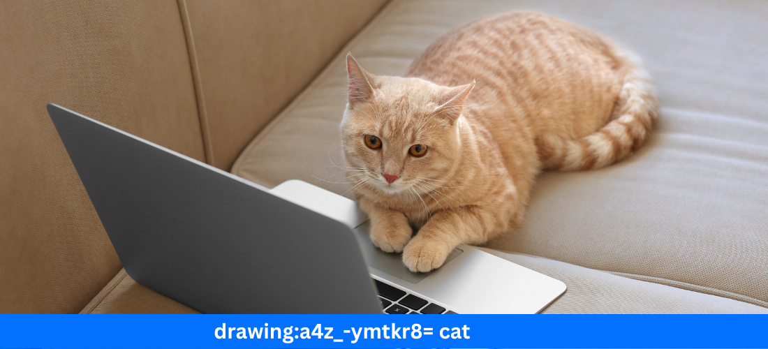 drawinga4z_-ymtkr8= cat