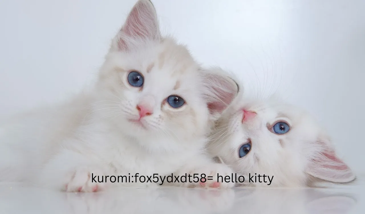 kuromi:fox5ydxdt58= hello kitty