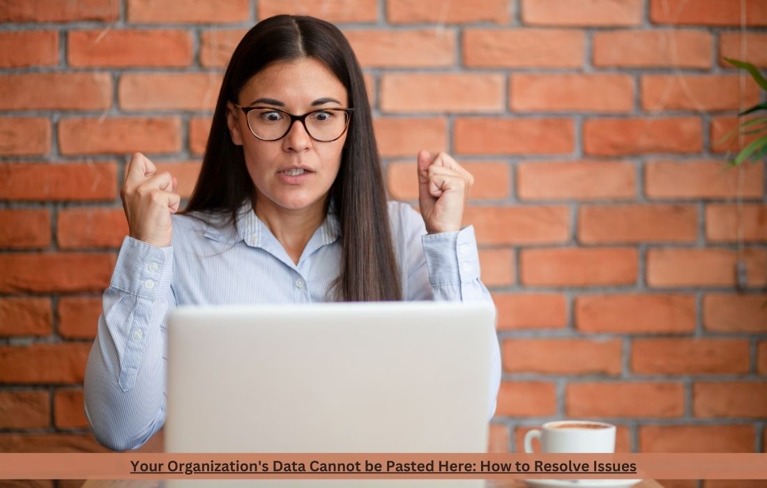 Your Organization's Data Cannot be Pasted Here