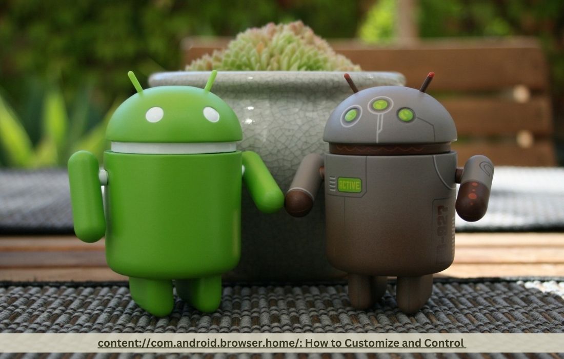 content://com.android.browser.home/